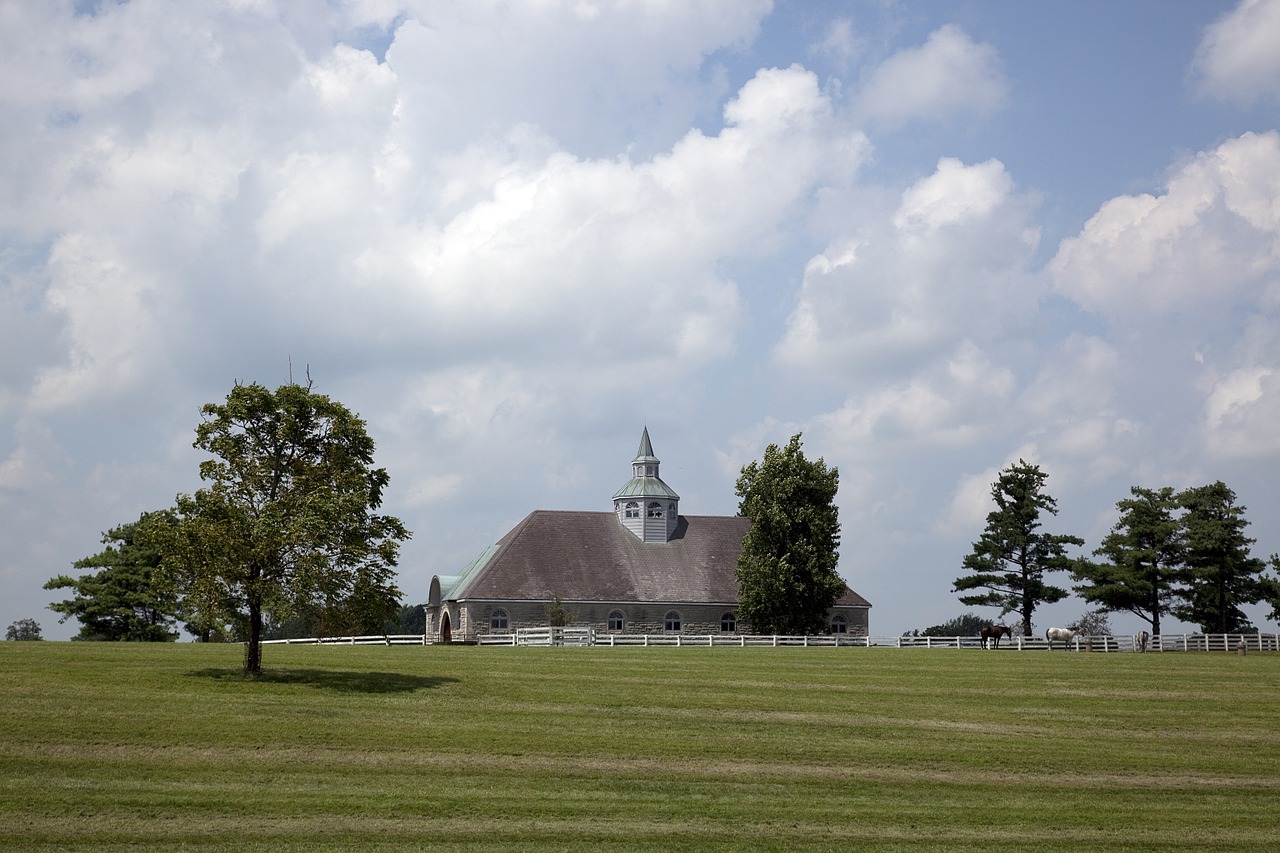 kentucky horse farm thoroughbreds horses free photo