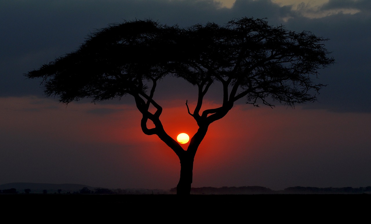 kenya  sunset  africa free photo