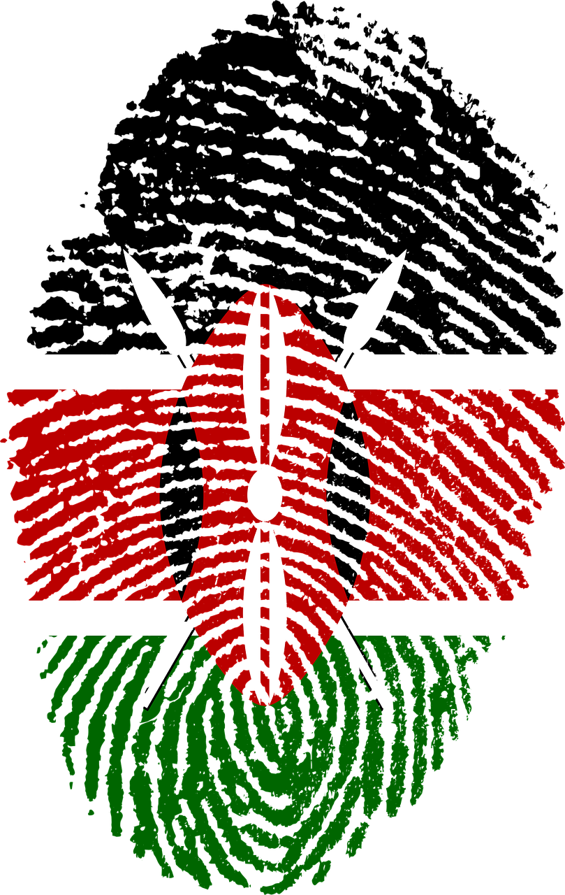 kenya flag fingerprint free photo