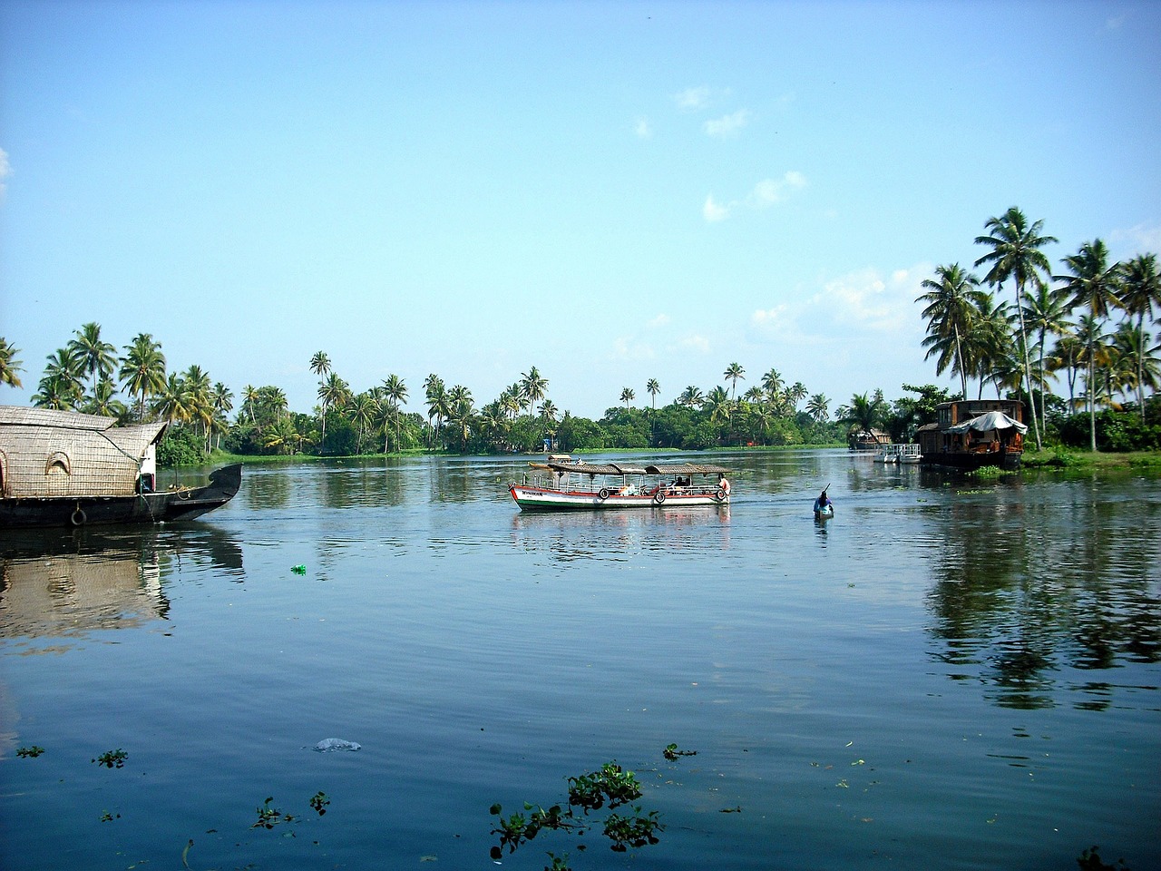 kerala south india backwaters free photo