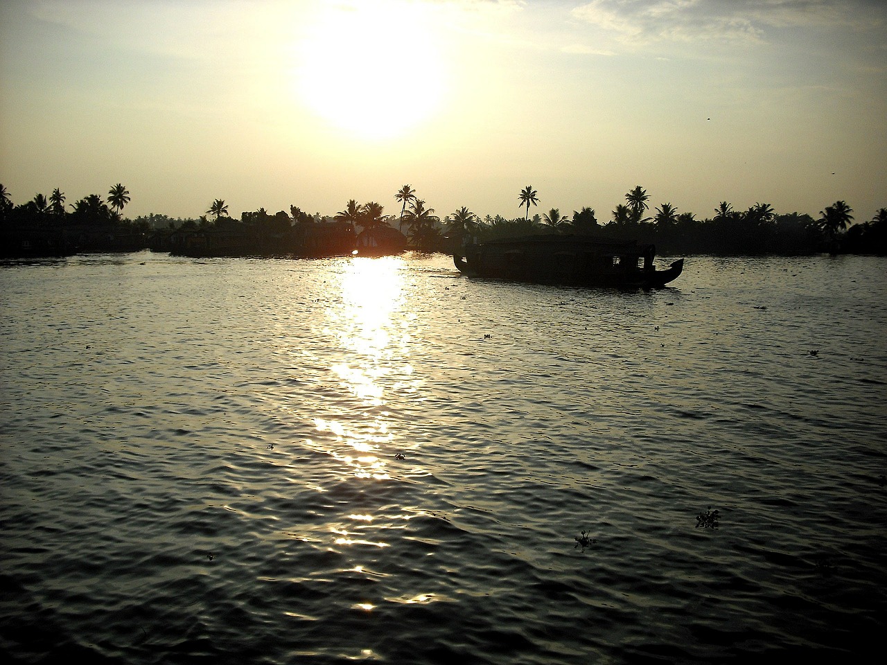 kerala india backwaters free photo