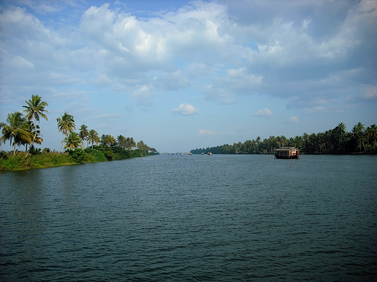 kerala india backwater free photo