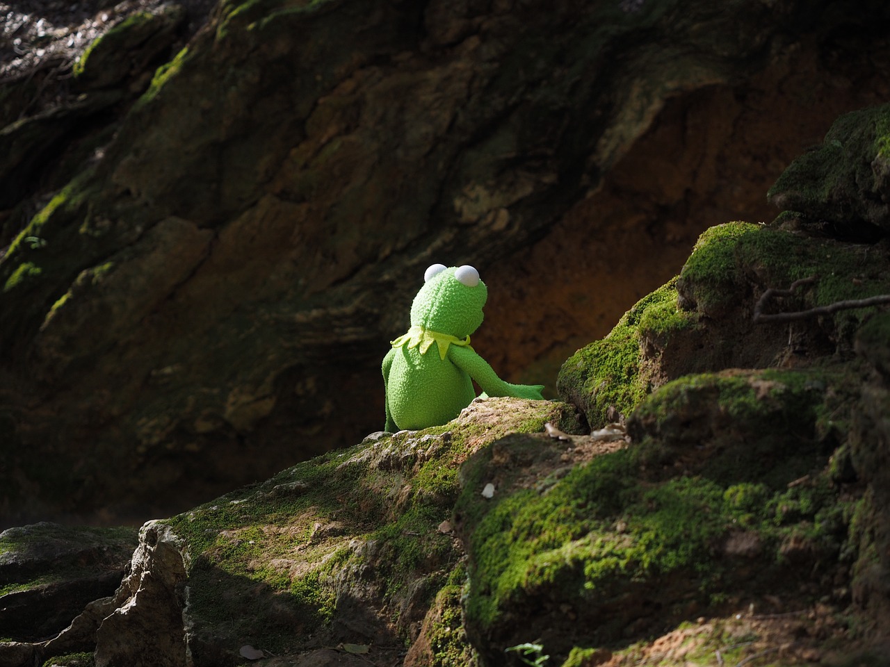 kermit frog green free photo