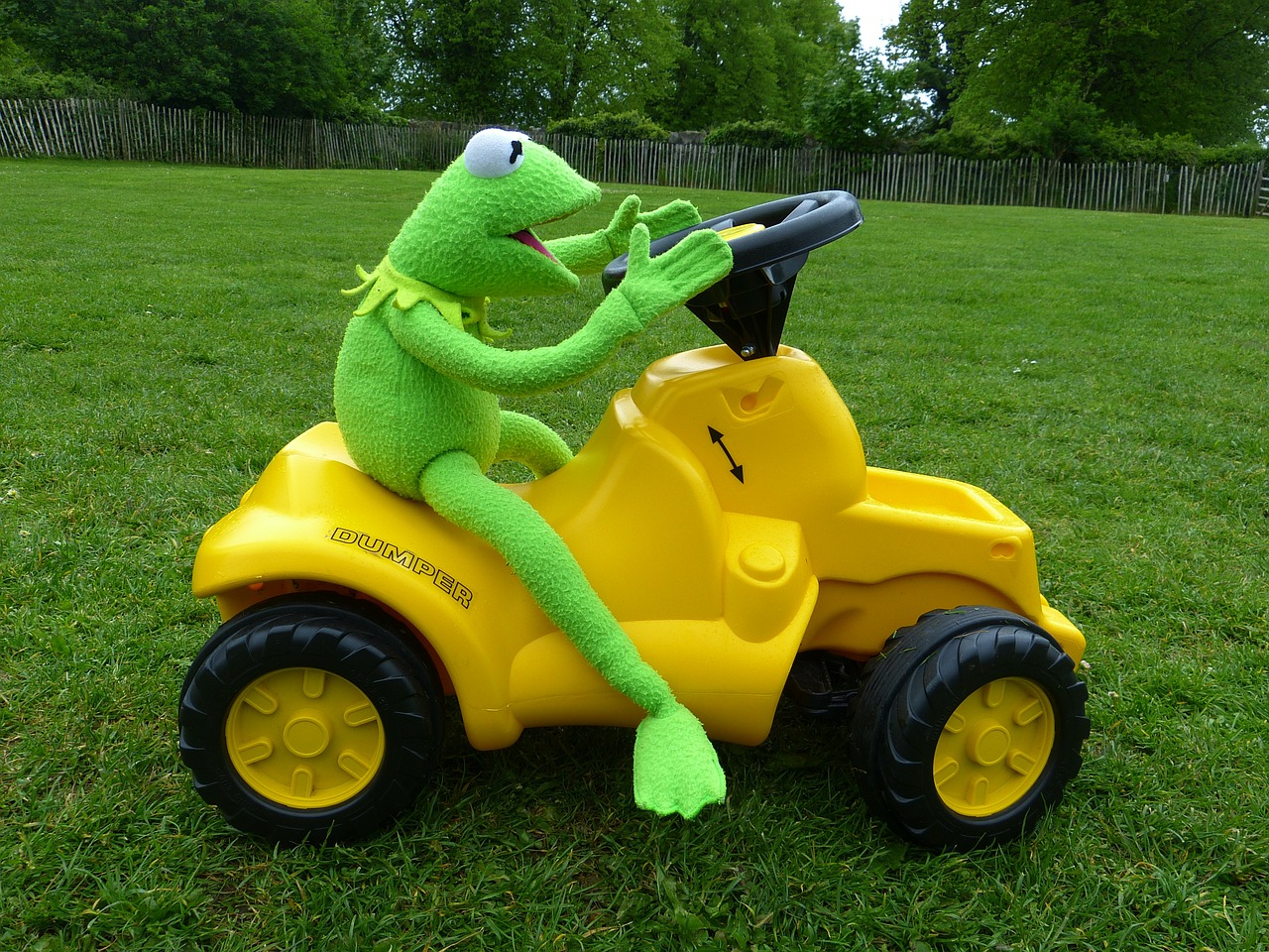 kermit frog green free photo