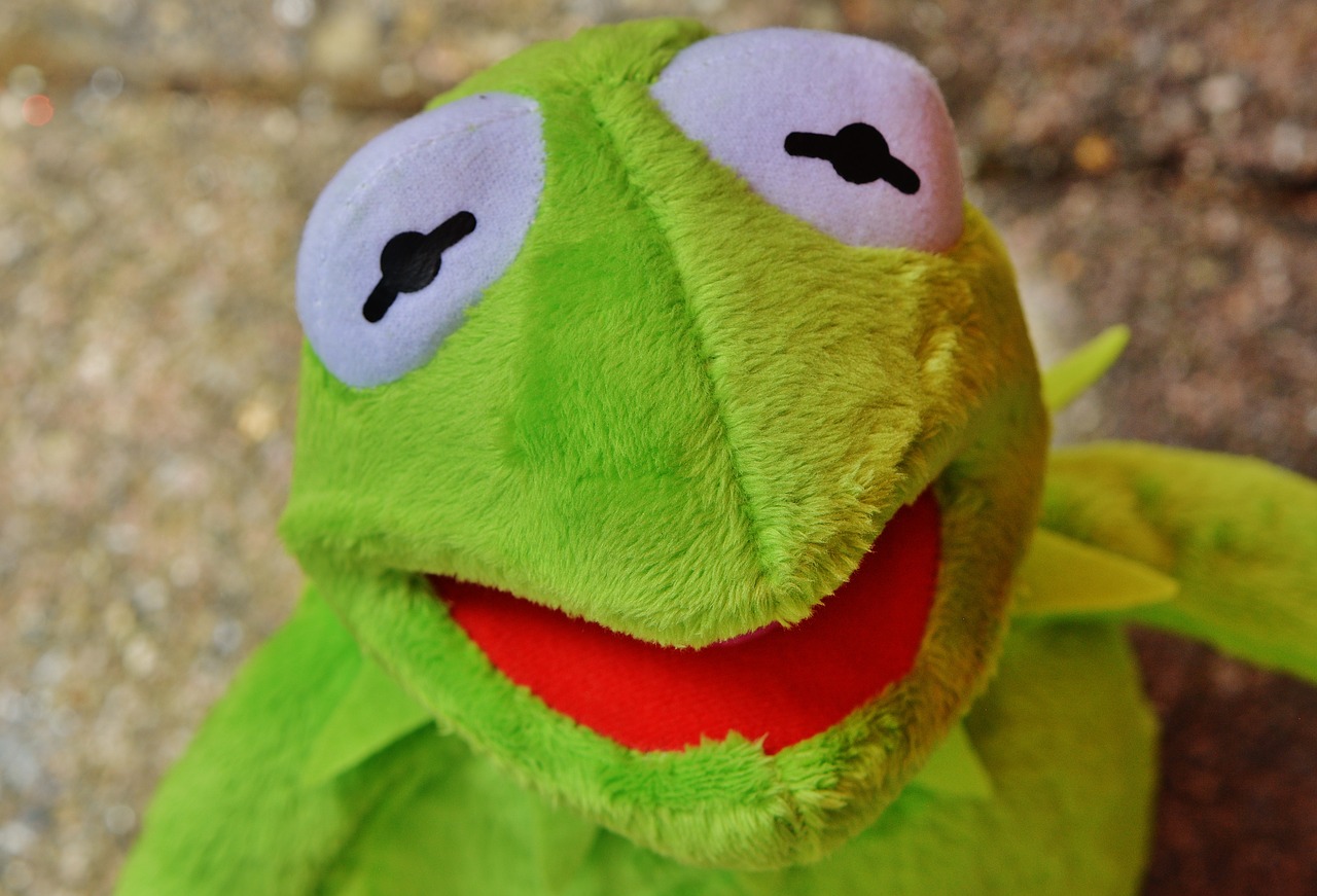 kermit frog figure free photo