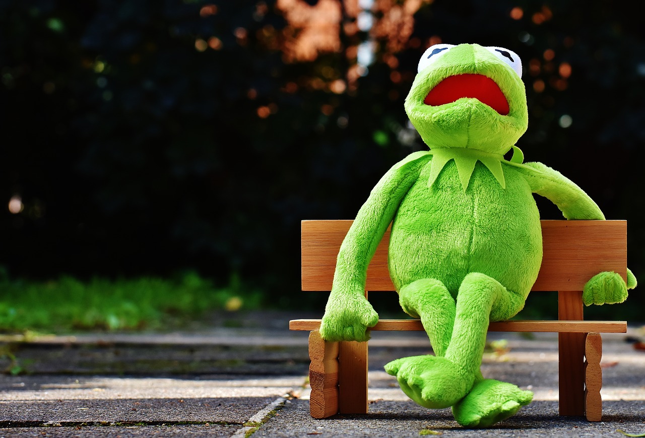 kermit frog bank free photo