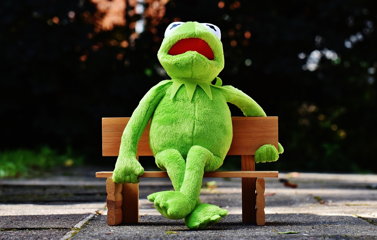 kermit frog bank free photo