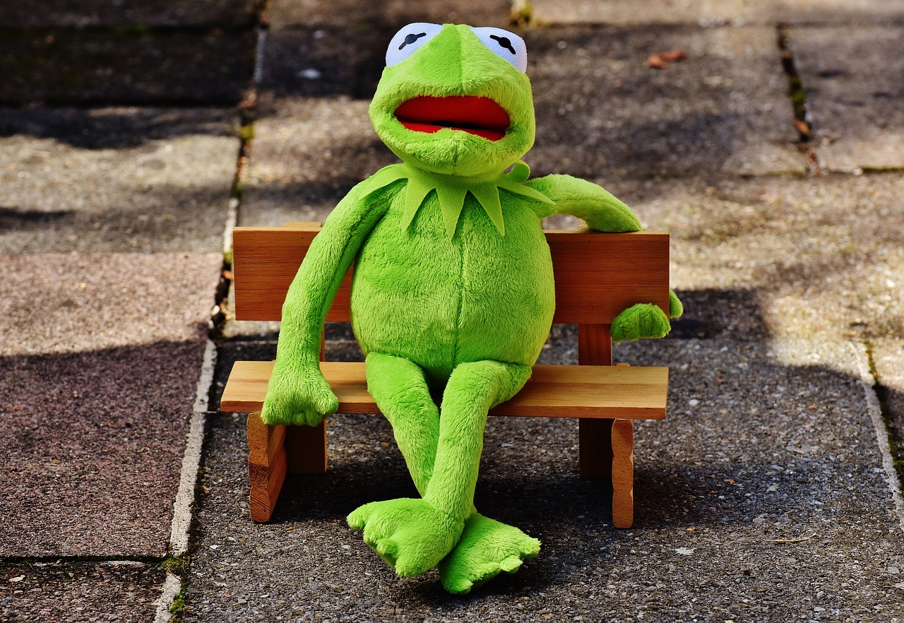 kermit frog bank free photo