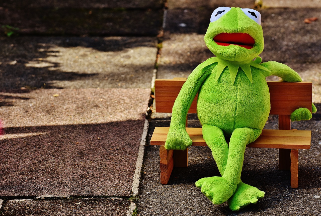 kermit frog bank free photo