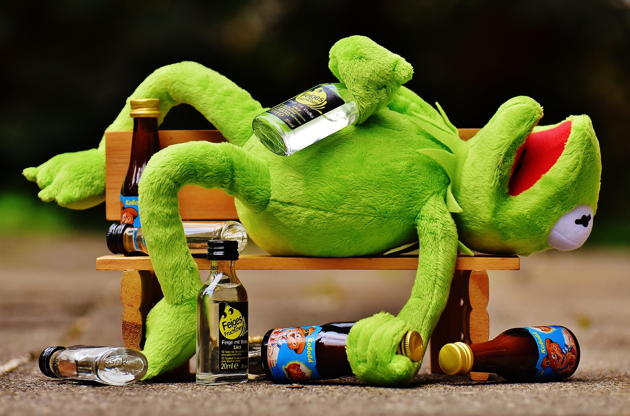 kermit frog drink free photo