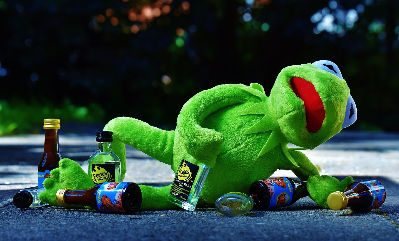 kermit frog drink free photo