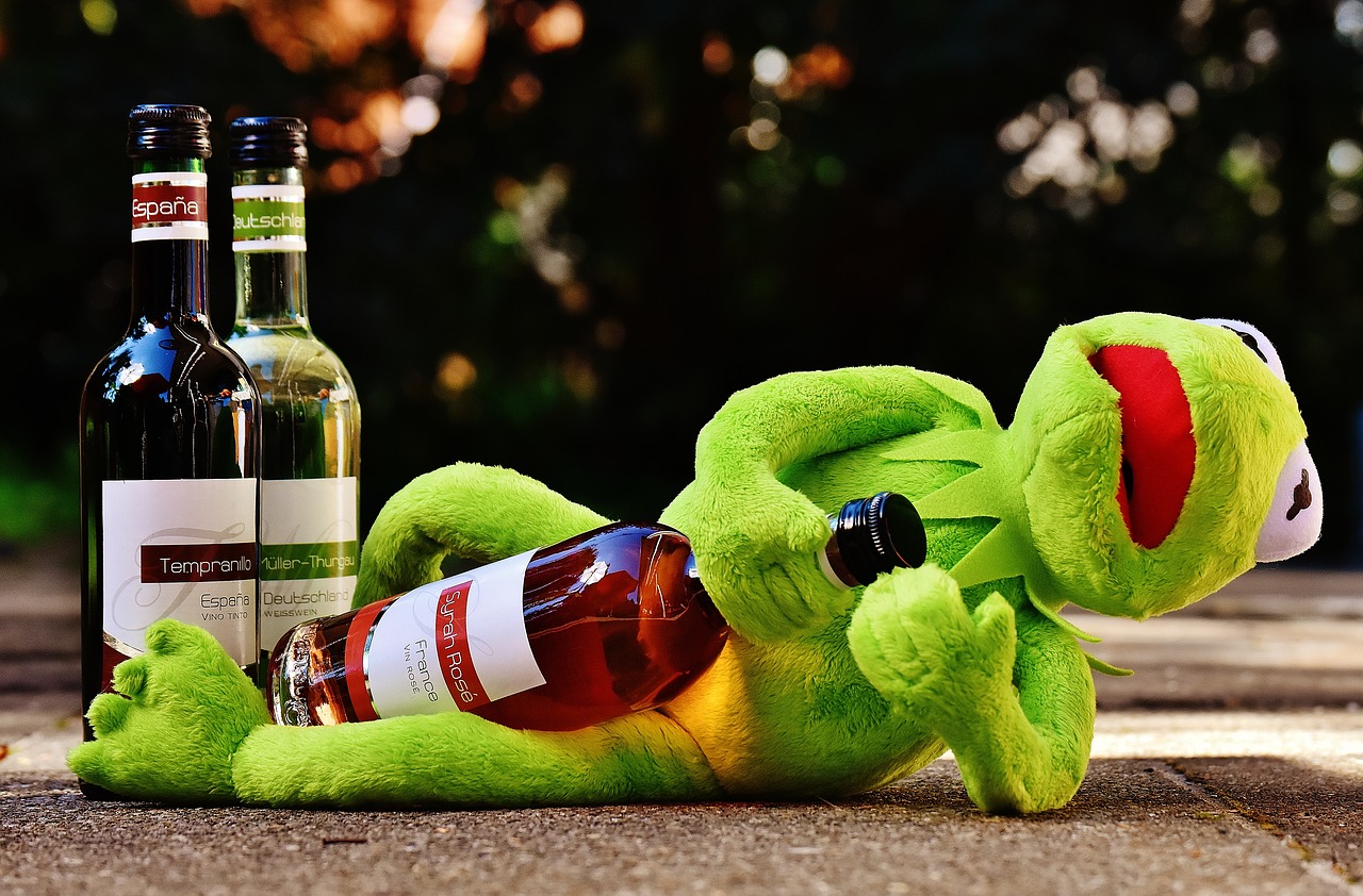 kermit frog wine free photo