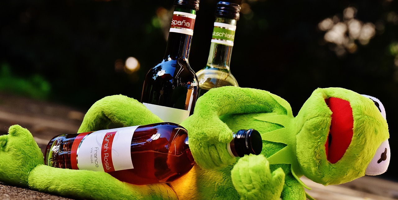 kermit frog wine free photo