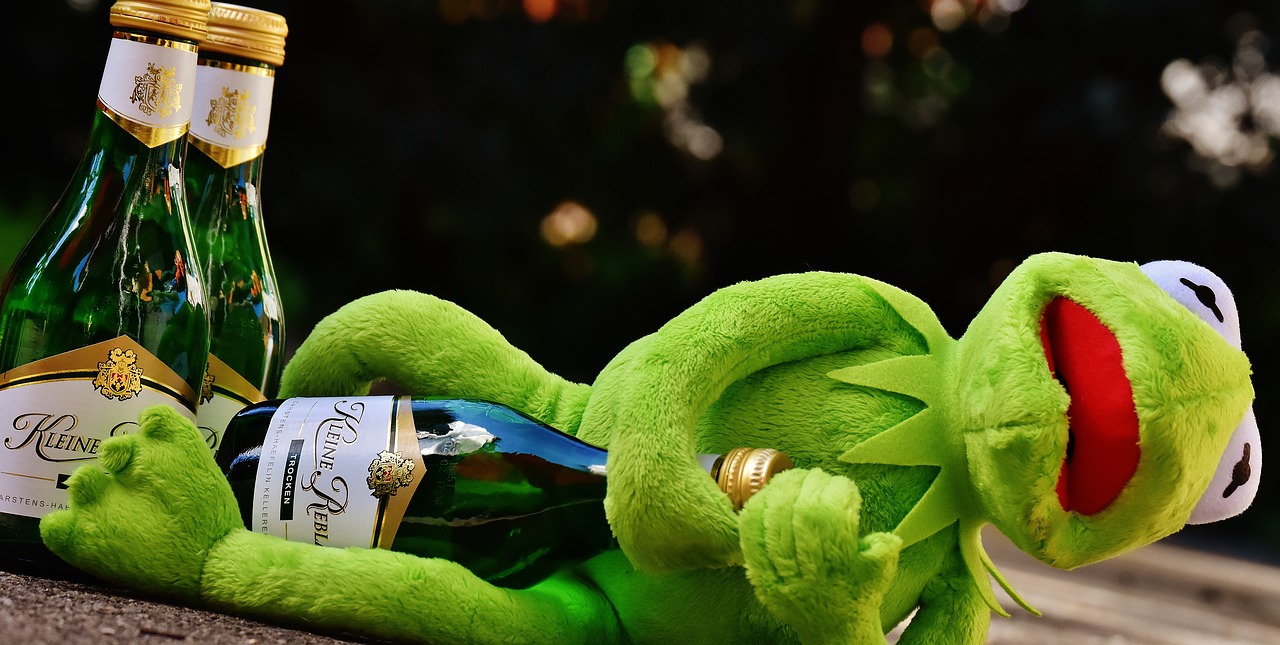 kermit frog wine free photo