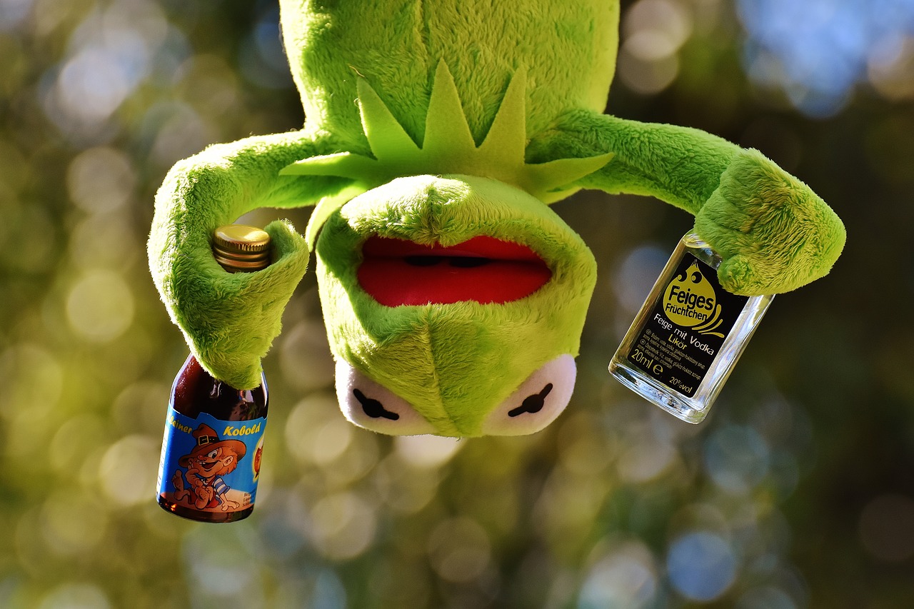 kermit frog drink free photo