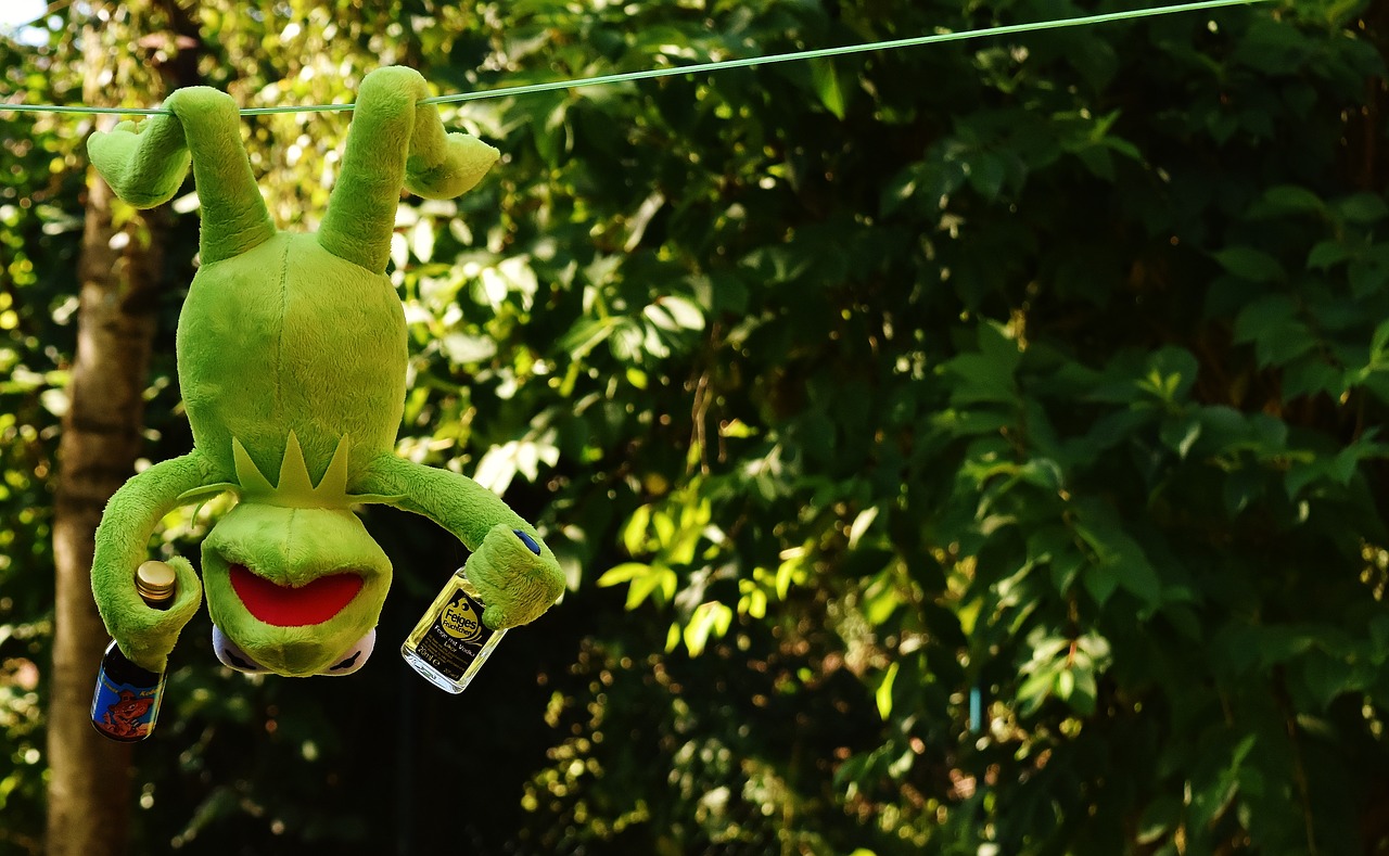 Download free photo of Kermit,frog,drink,hang out,alcohol - from ...