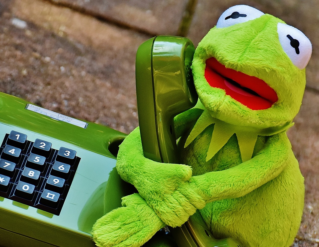 kermit frog phone free photo