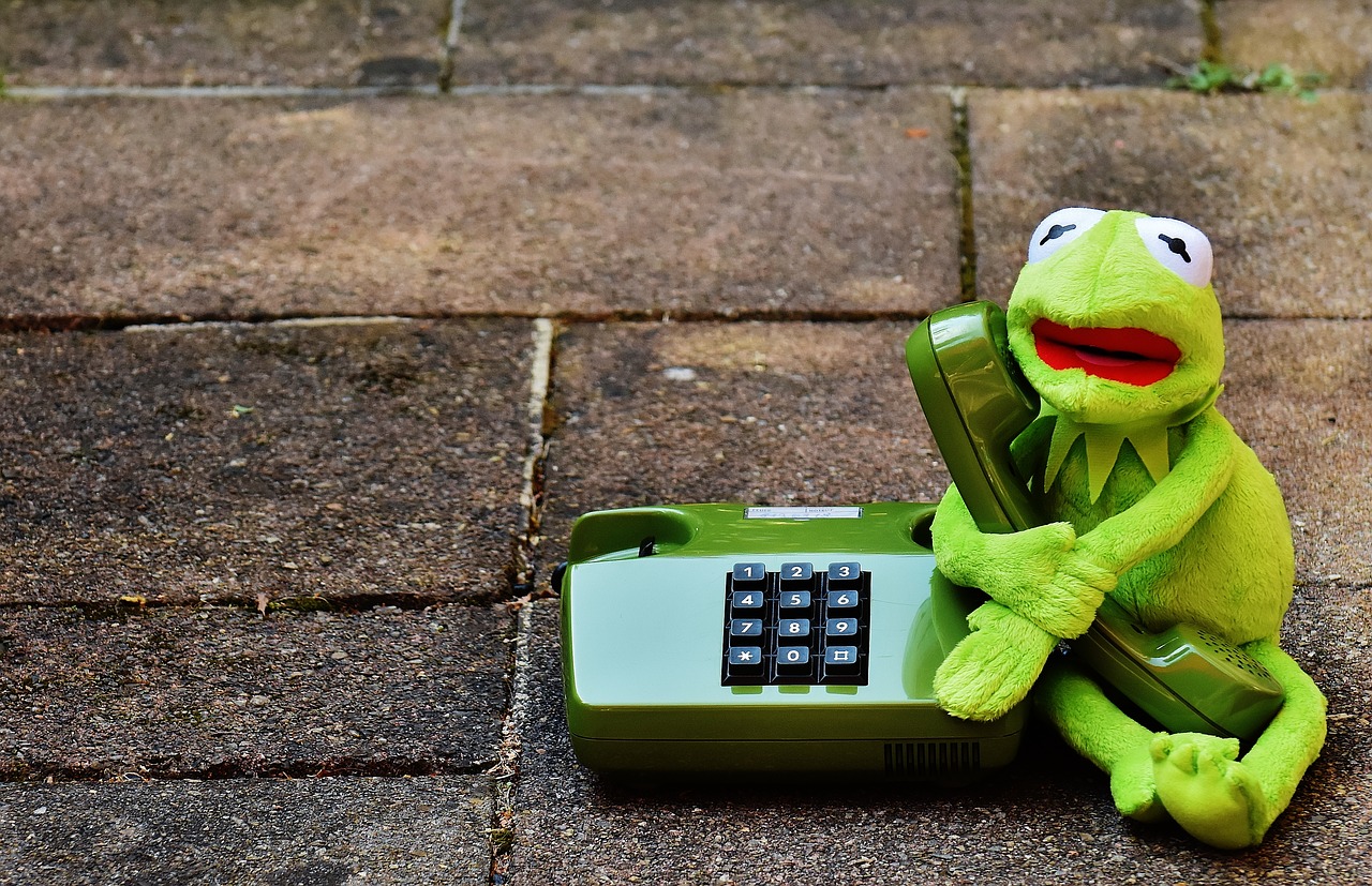 kermit frog phone free photo