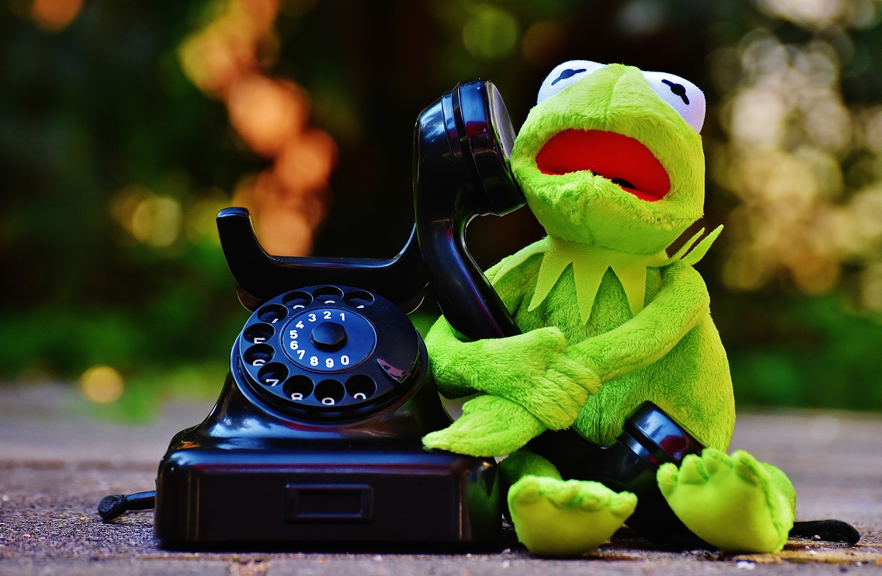 kermit frog phone free photo