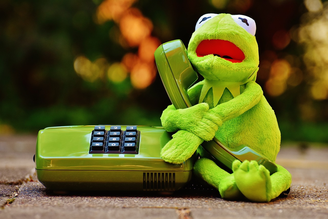 kermit frog phone free photo