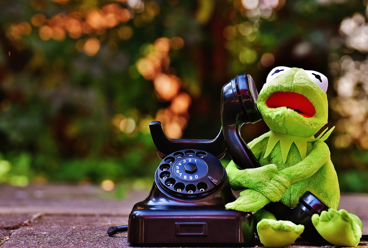 kermit frog phone free photo