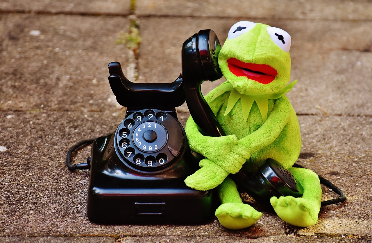 kermit frog phone free photo