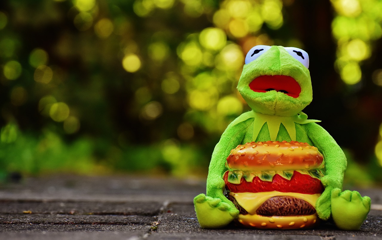 kermit frog cheeseburger free photo