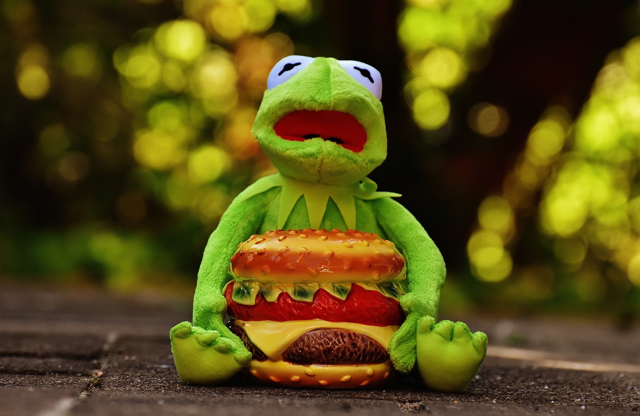 kermit frog cheeseburger free photo