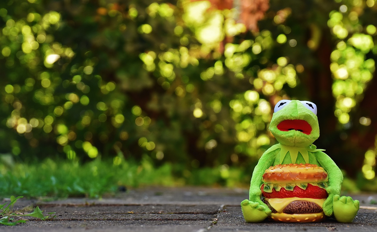 kermit frog cheeseburger free photo