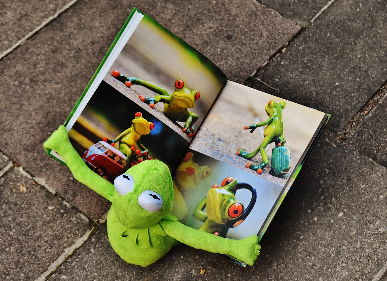 kermit book picture book free photo