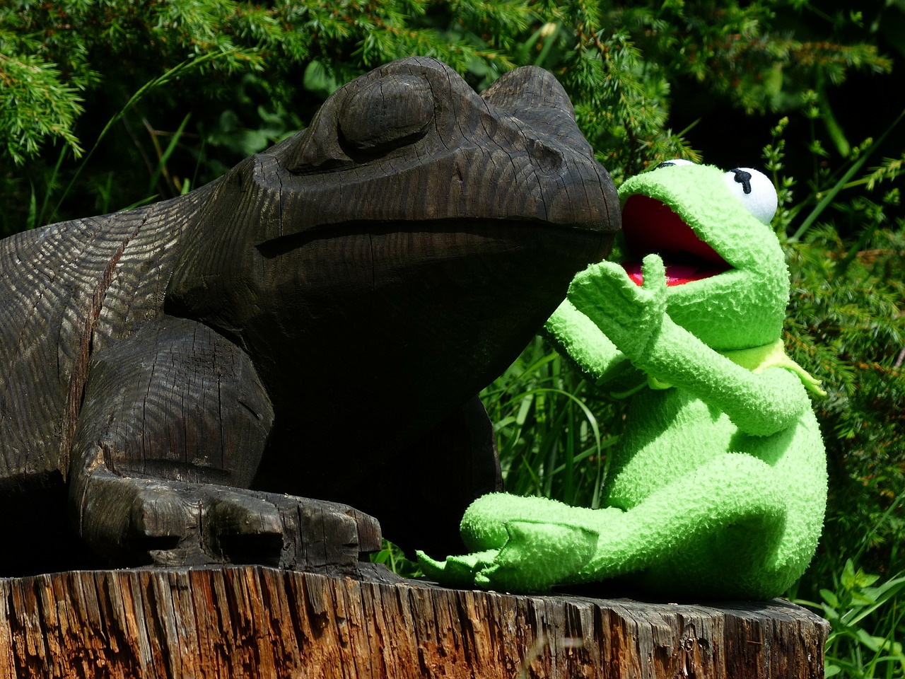 kermit frog talk free photo