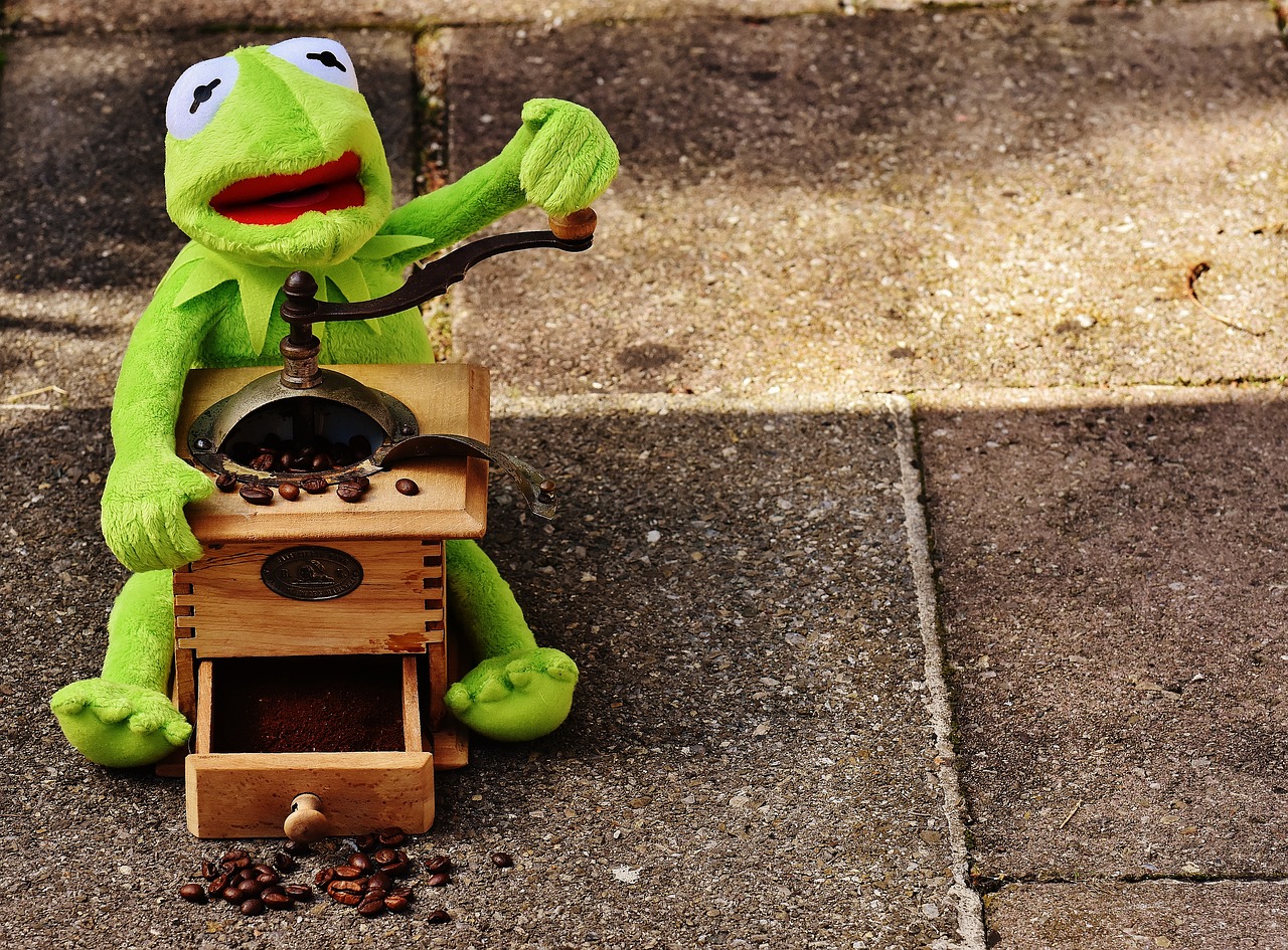 kermit frog grinder free photo