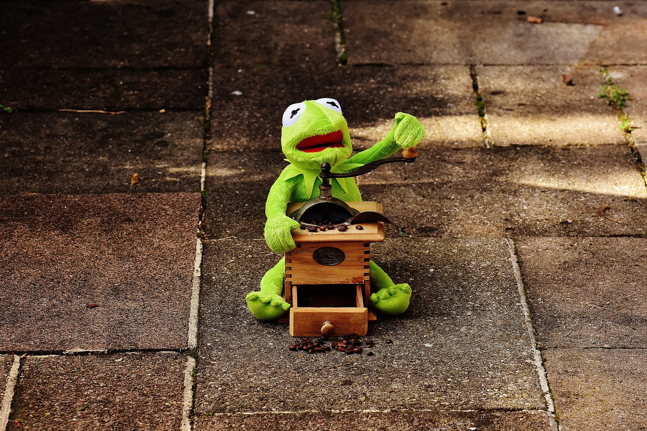 kermit frog grinder free photo