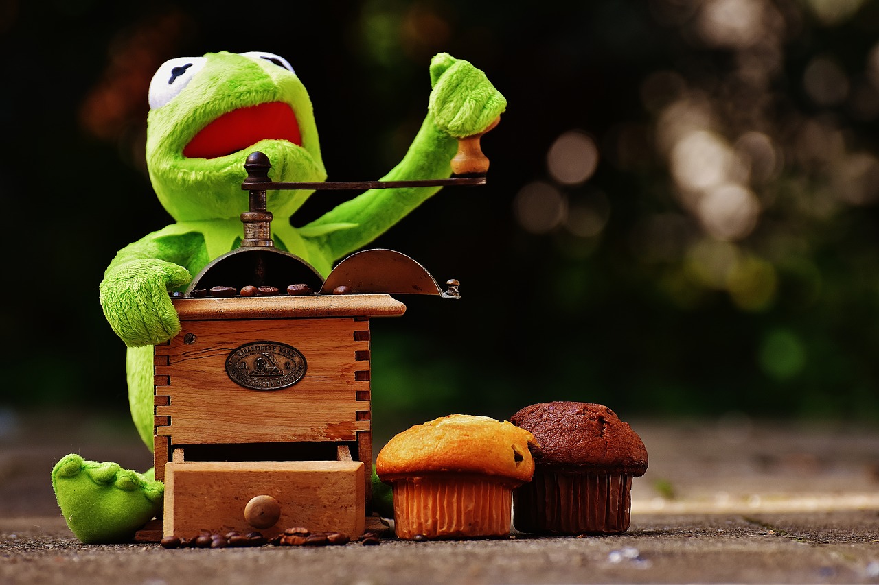 kermit frog grinder free photo