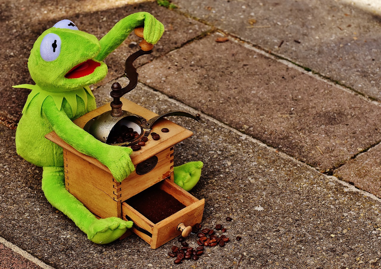 kermit frog grinder free photo