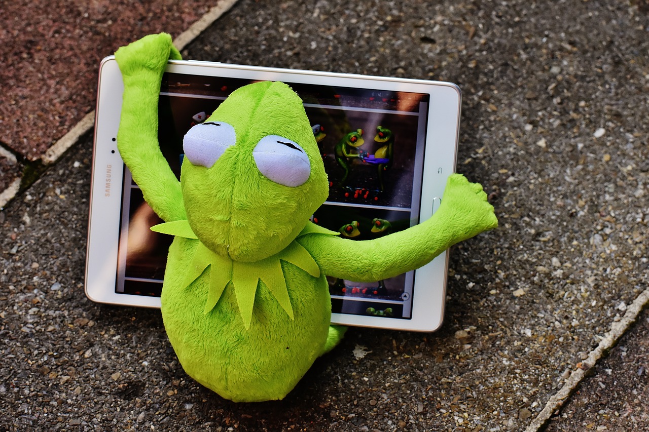 kermit frog tablet free photo