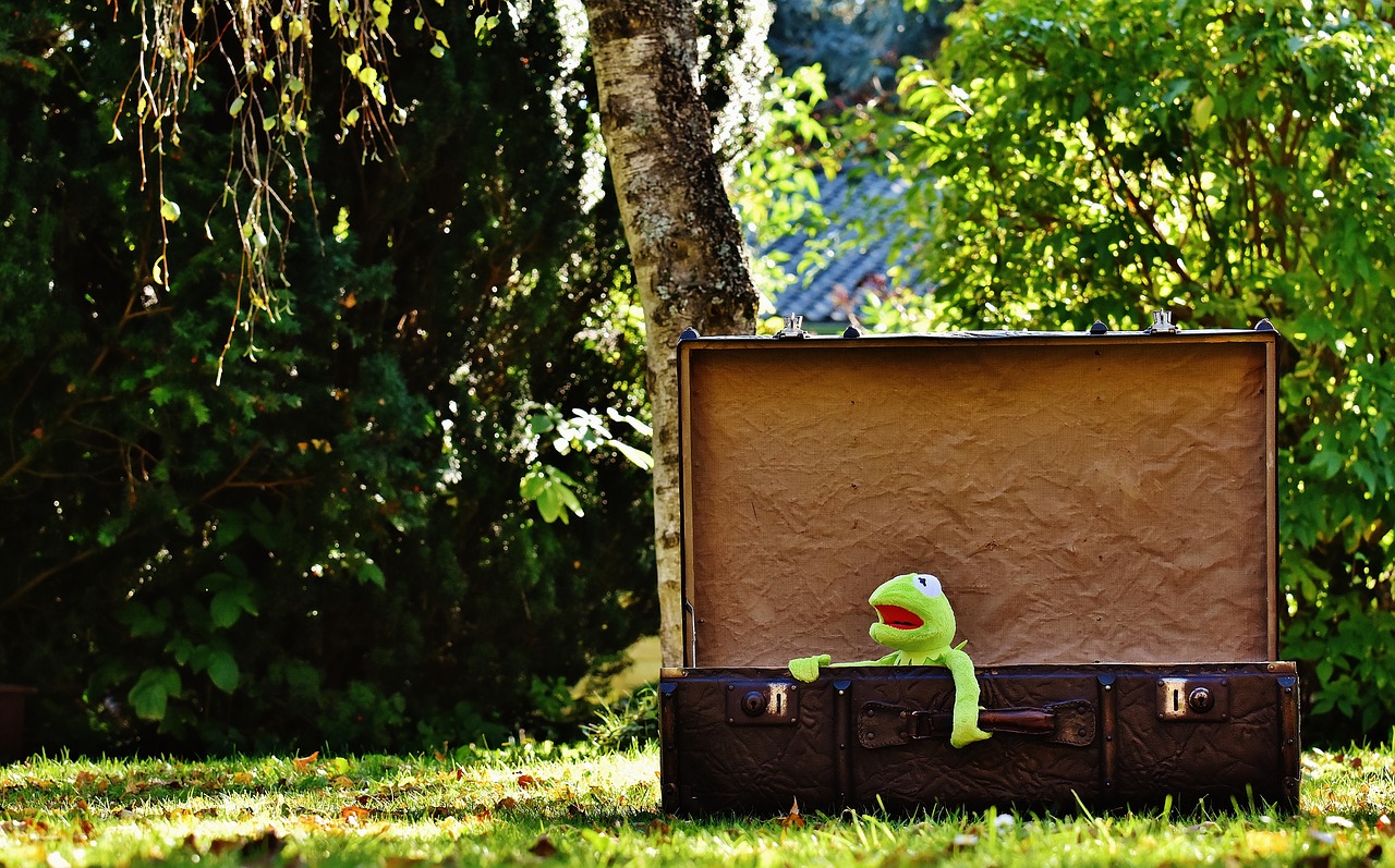 kermit farewell cute free photo