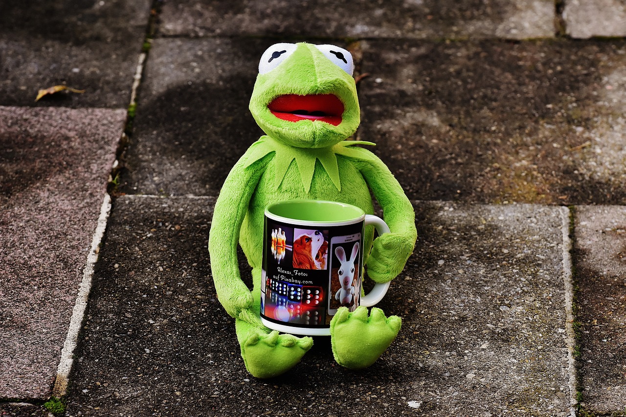 kermit cup drink coffee free photo