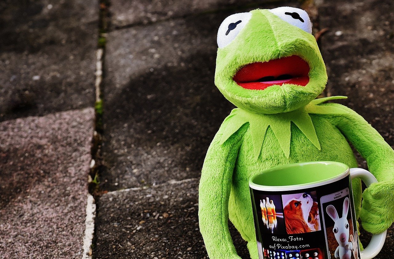 kermit cup drink coffee free photo