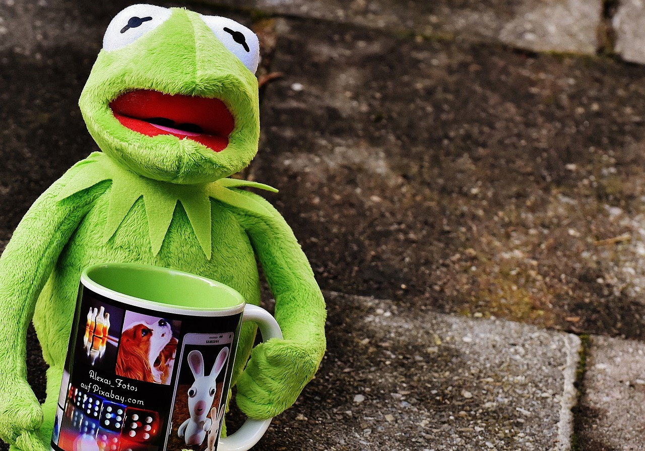 kermit cup drink coffee free photo
