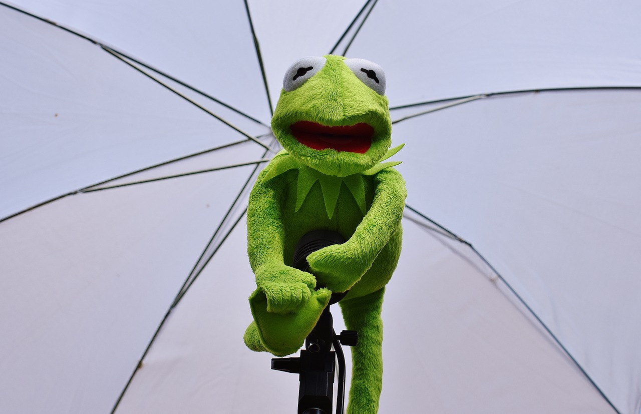 kermit photo screen frog free photo