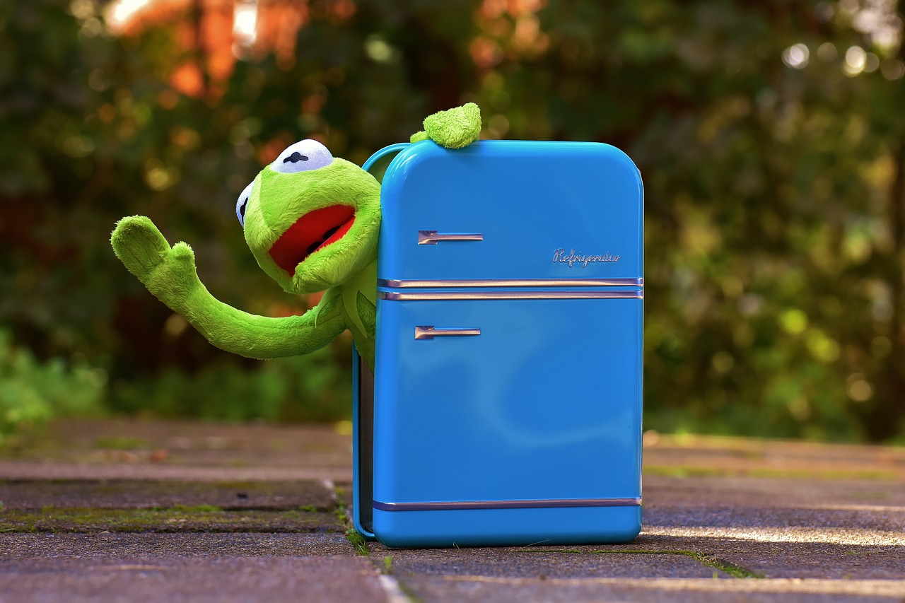 kermit frog refrigerator free photo