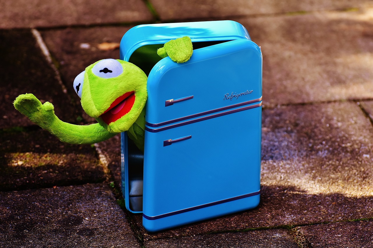 kermit frog refrigerator free photo