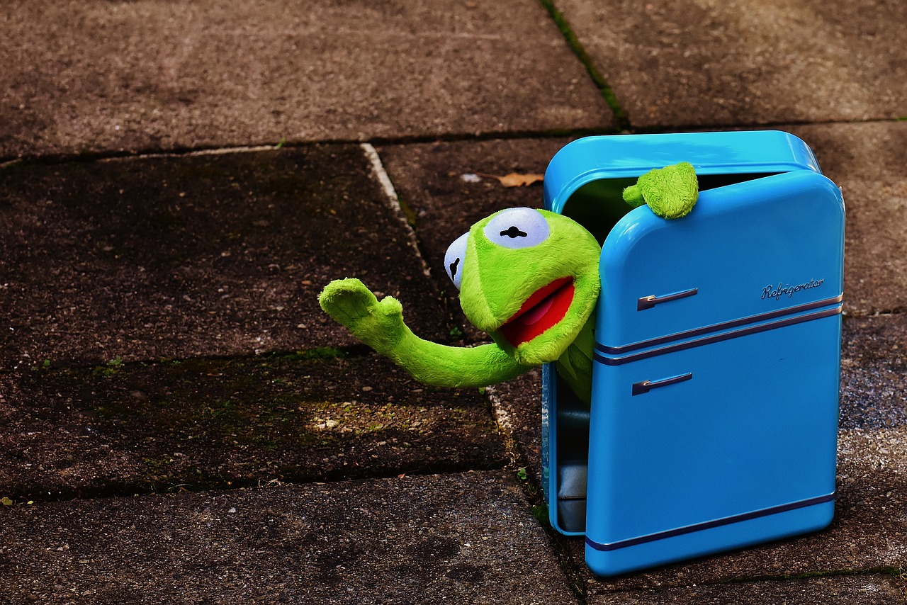 kermit frog refrigerator free photo