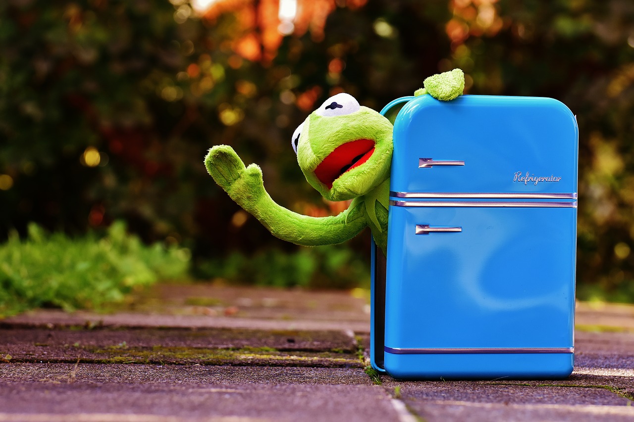 kermit frog refrigerator free photo