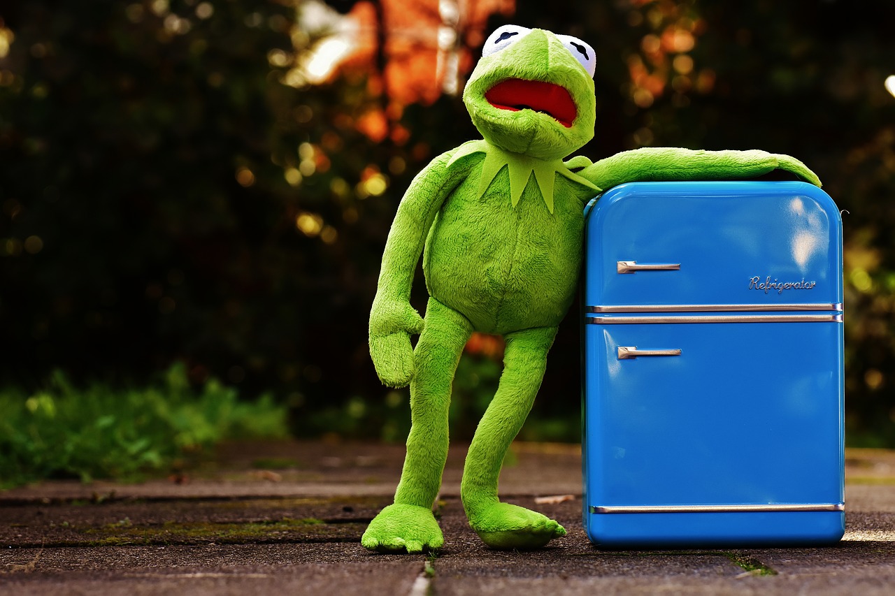 kermit frog refrigerator free photo