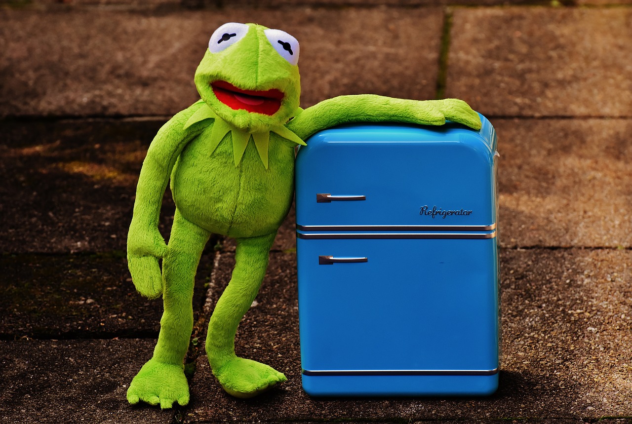 kermit frog refrigerator free photo