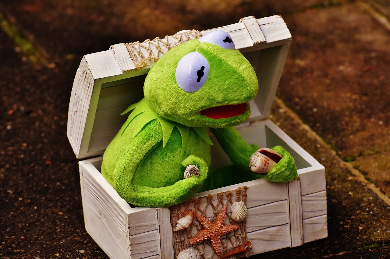 kermit frog chest free photo