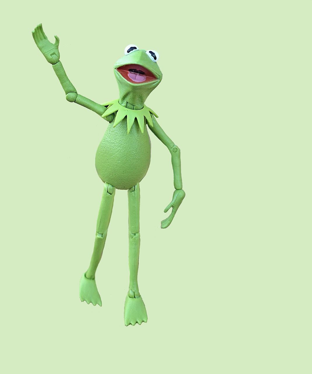 kermit frog muppet free photo