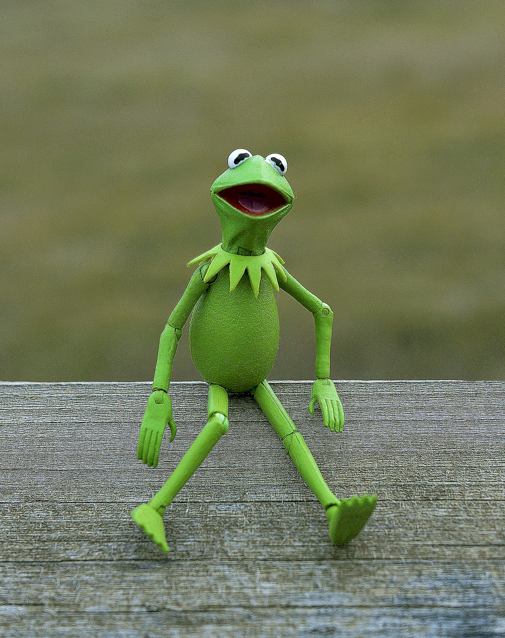 kermit frog muppet free photo